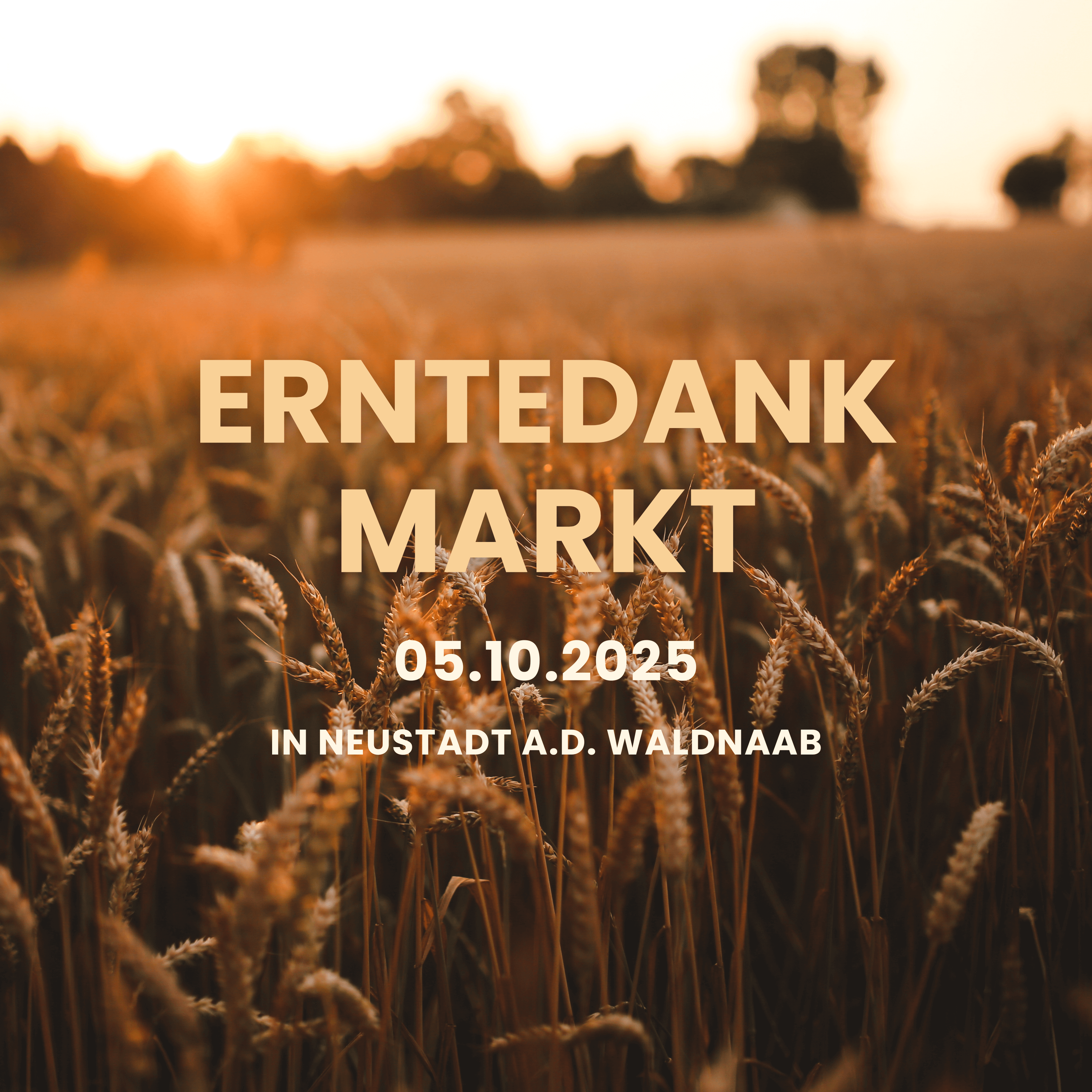 Erntedankmarkt